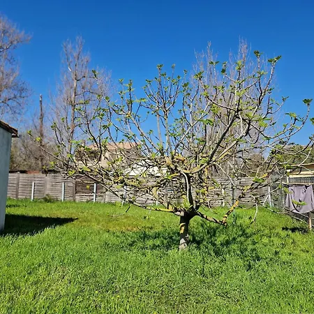 Maison Proche Avec Terrasse - 5 Pers. - Fr-1-387-231